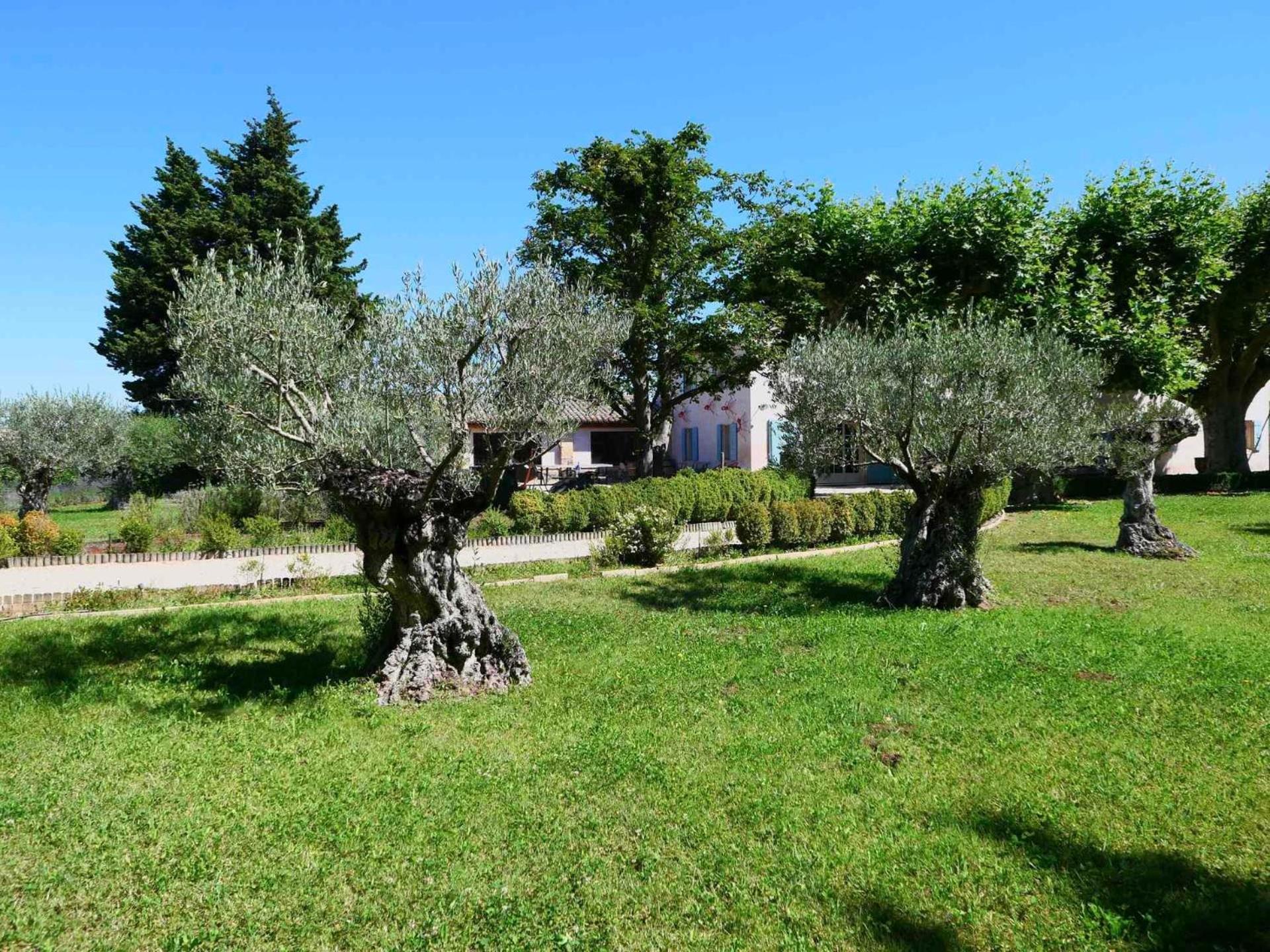 Typical Provencal Farm House Close To L'Isle Sur La Sorgue - 12 Persons Cavaillon Kültér fotó
