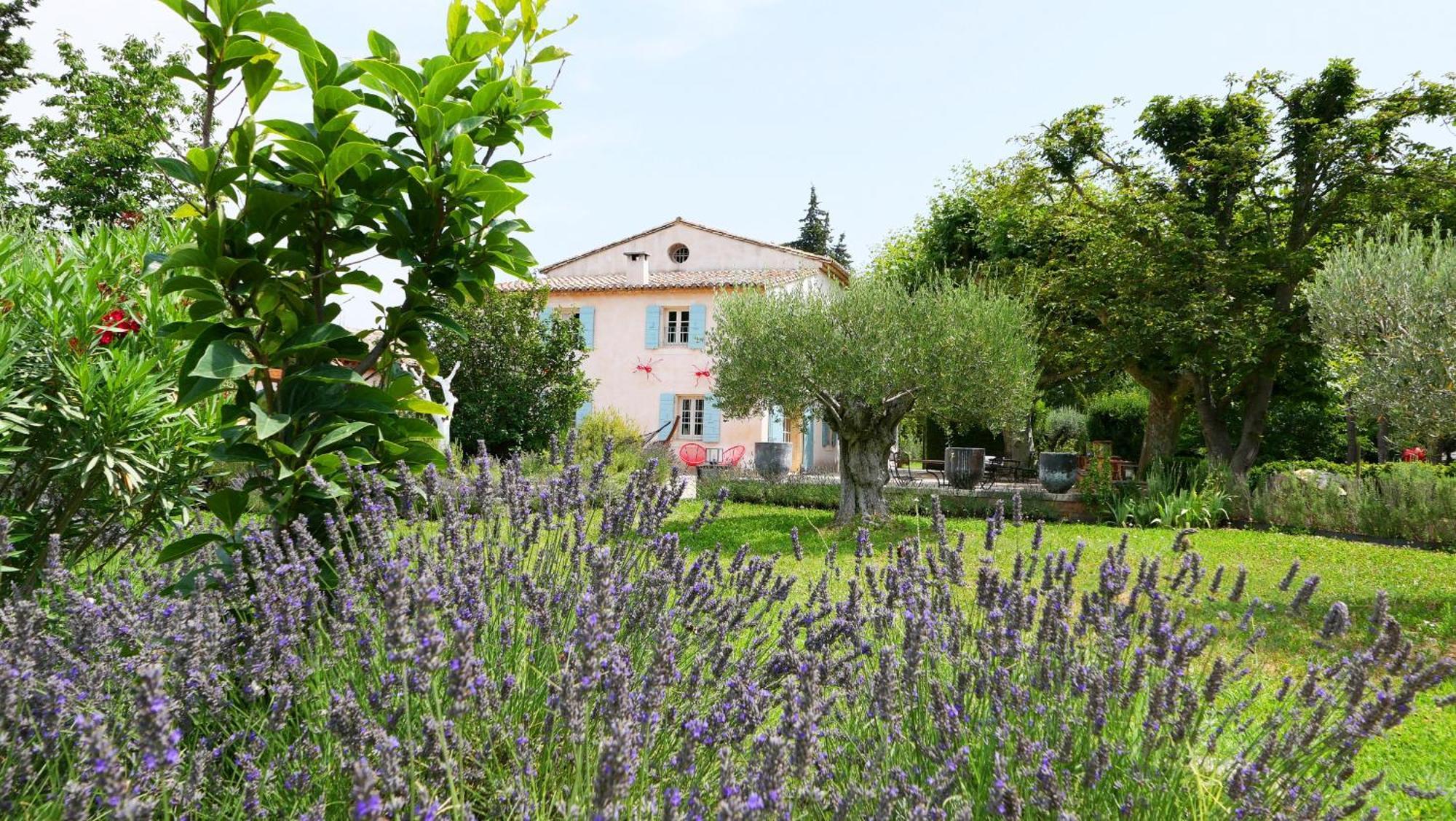 Typical Provencal Farm House Close To L'Isle Sur La Sorgue - 12 Persons Cavaillon Kültér fotó